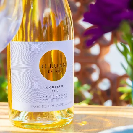 Сasa de vacaciones Vilamurada Terraza Con Vistas Al Casco Antiguo Dénia