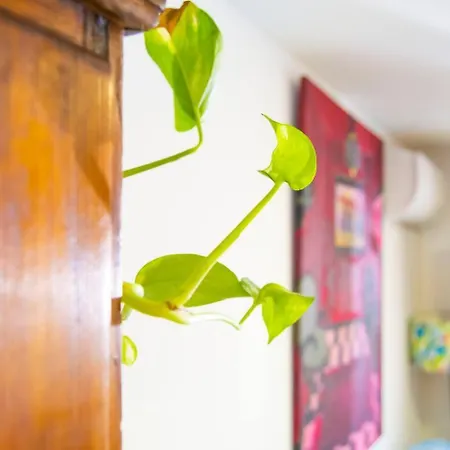 Holiday home Vilamurada • Terraza Con Vistas Al Casco Antiguo