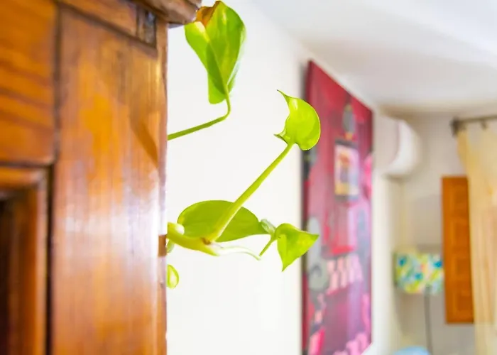 Holiday home Vilamurada • Terraza Con Vistas Al Casco Antiguo